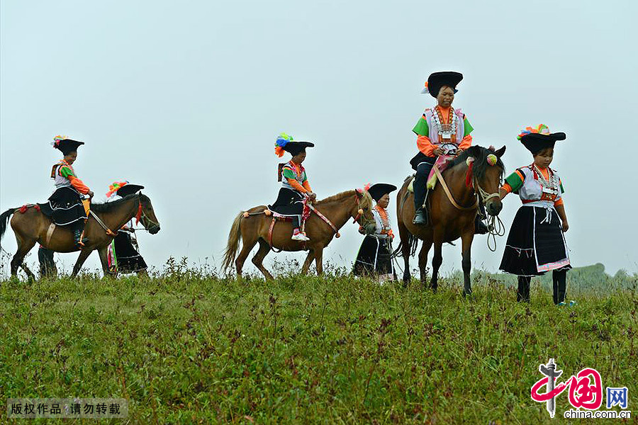 高坡草场上的苗族妇女。中国网图片库 彭年/摄