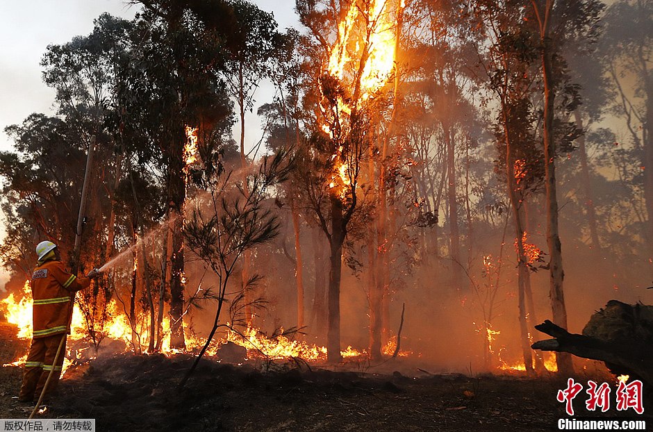 澳大利亞森火肆虐 數名消防員受傷