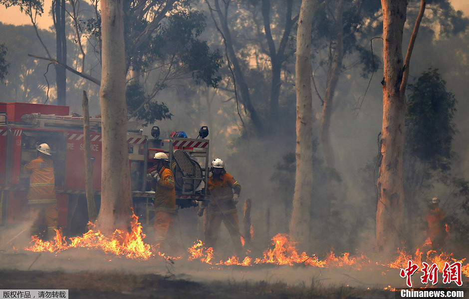 澳大利亞森火肆虐 數名消防員受傷