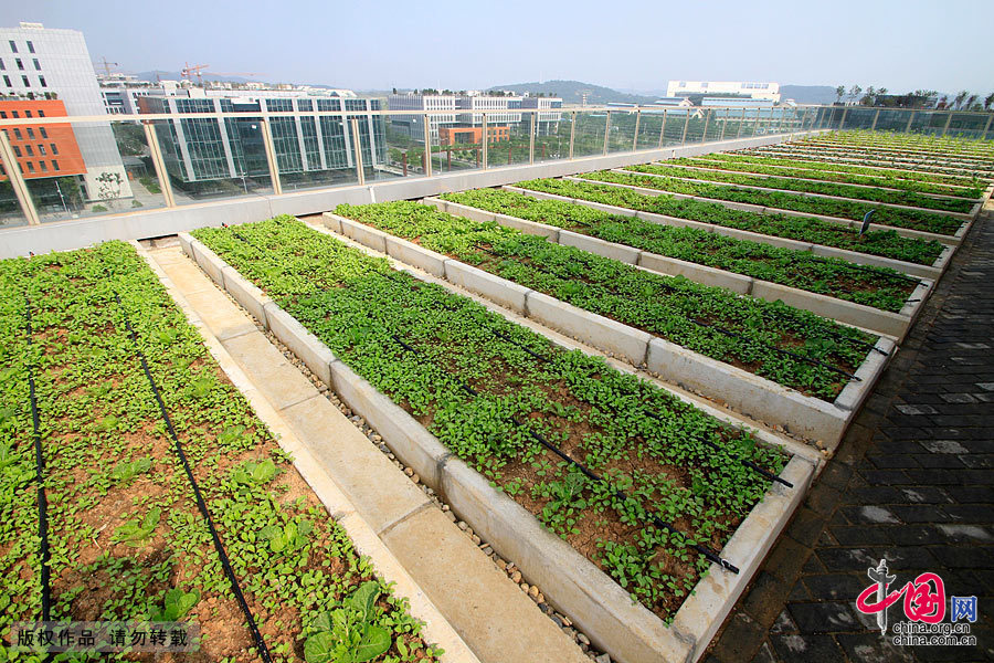 2013世界屋頂綠化大會今日開幕 探討治理城市環境問題[組圖]