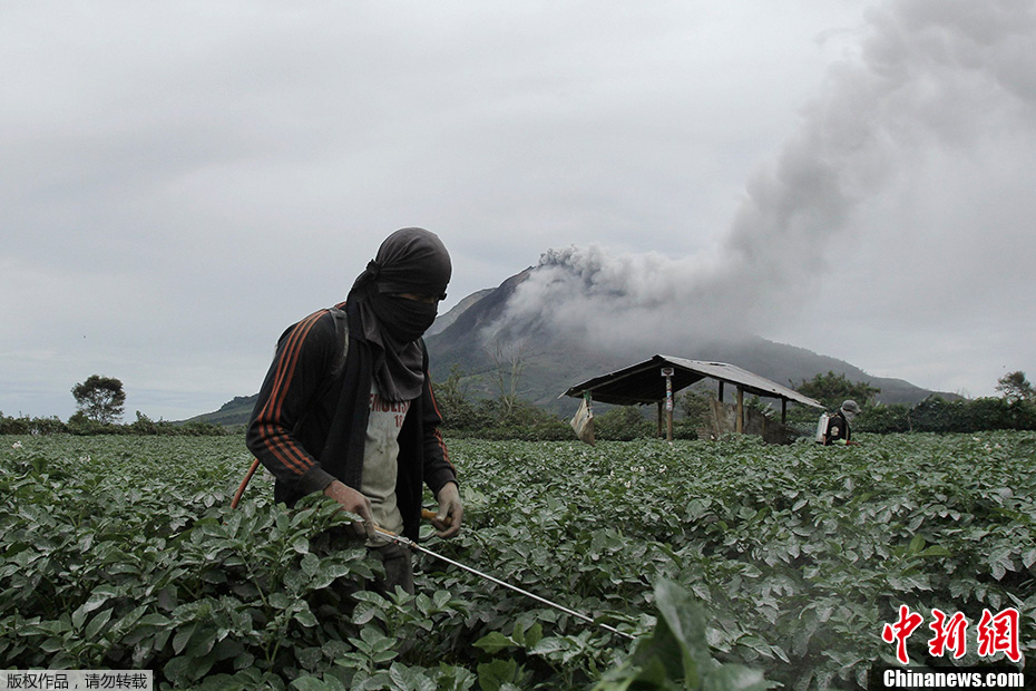 印尼锡纳朋火山喷发 火山灰遮天蔽日