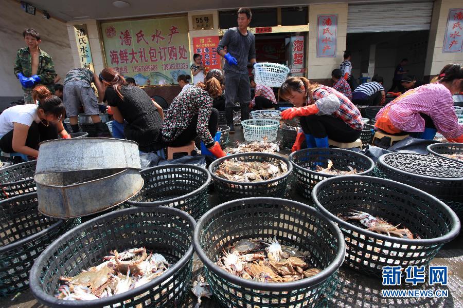 江苏吕四渔港开渔 梭子蟹同比产量增七成