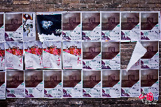 棉织厂展区内的影展海报。中国网记者 郑亮/摄