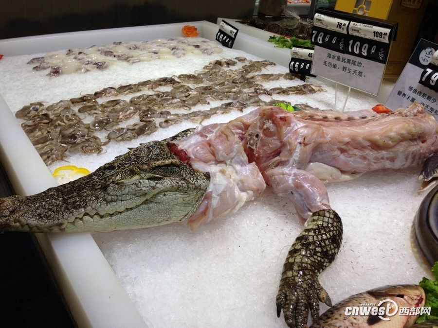 西安一超市卖鳄鱼肉引围观市民敢摸不敢买组图