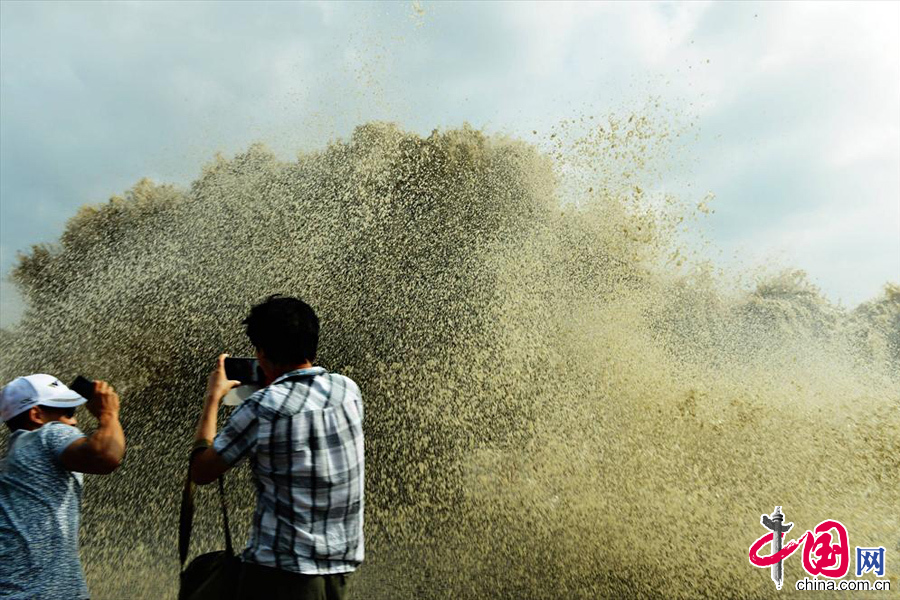 9月22日，游客在杭州下沙钱塘江段观看钱江大潮激起的数十米的涌浪。 中国网图片库 龙巍摄影