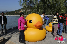 9月26日,大黃鴨“移居”頤和園昆明湖，吸引眾多遊客參觀留念。中國網記者 董寧/攝