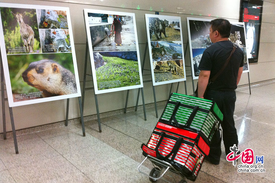 “寻找雪豹”摄影展在北京地铁五号线展出