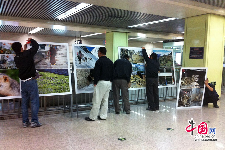 “寻找雪豹”摄影展在北京地铁五号线展出