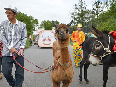无锡动物园动物狂欢大巡游(组图)