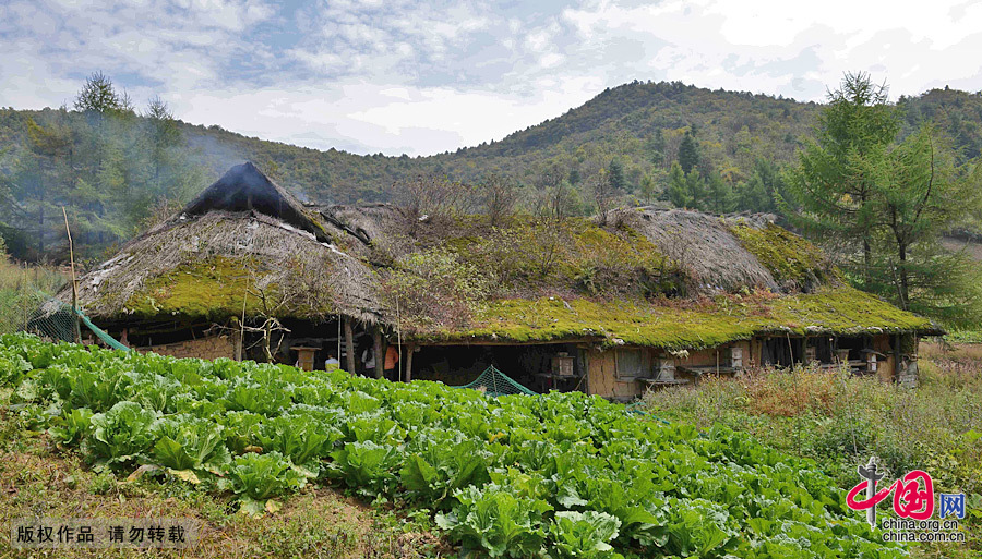 重庆：三峡库区最后的草屋人家[组图]