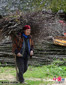 10月7日，三峡库区奉节县长安土家族乡五坝村村民背着柴火从草屋经过。 中国网图片库 周会/摄