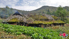三峡库区奉节县长安土家族乡五坝村保存较为完整的草屋。 中国网图片库 周会/摄