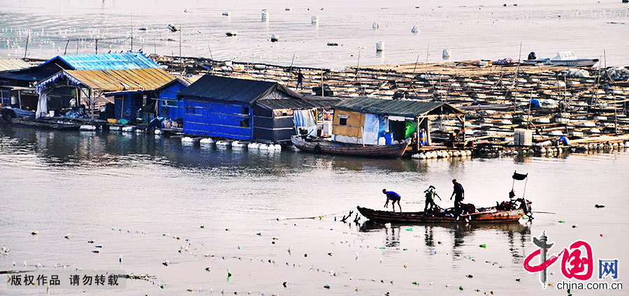 一大片的海上渔排，一栋栋别致的小屋，一户户海上人家，小船穿梭在渔排之间，荡起层层浪花，呈现出海上人家的奇特景观。中国网图片库 肖远泮/摄
