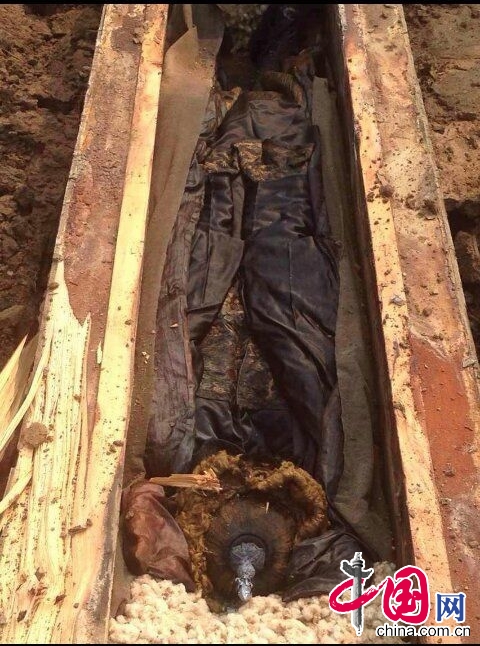 河南项城古墓发掘现场。 图片来源：中国网图片库
