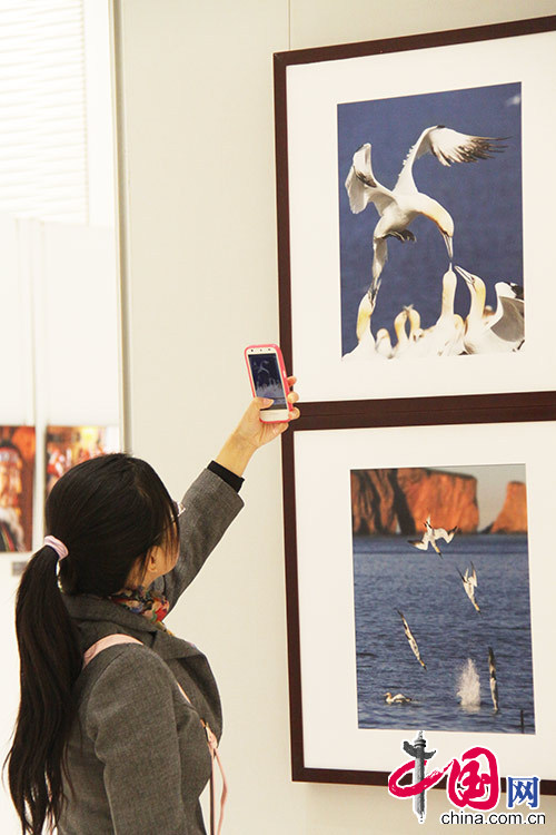 《生命北極——王建男環北極攝影觀察（17回合）作品展》10月11日-24日在北京卓展購物中心舉行。中國網記者 倫曉璇/攝