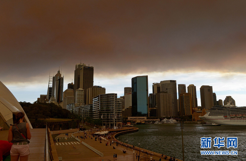 澳大利亞新州叢林大火肆虐 已致一人死亡