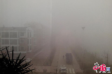 黑龙江伊春市区能见度低。中国网图片库 知言/摄