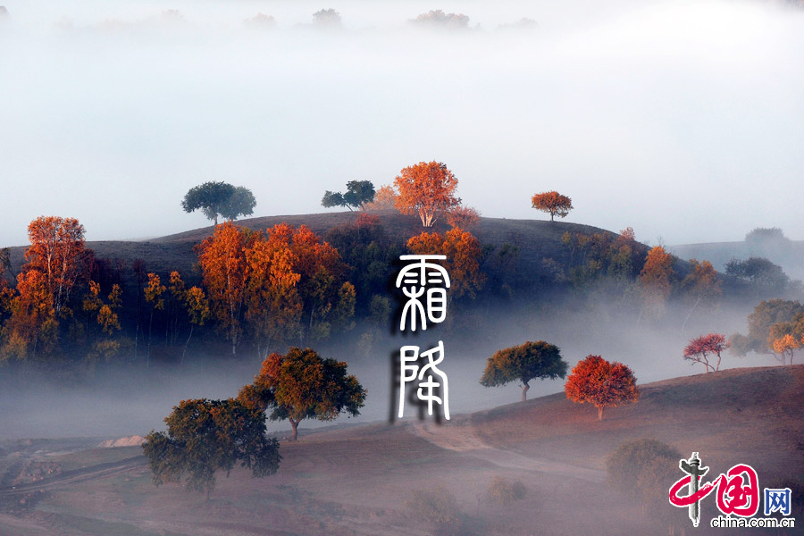 2013年10月23日，今日霜降 中國網圖片庫 