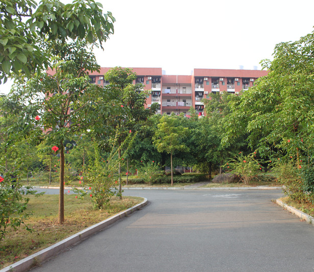 广东财经大学华商学院宿舍前的绿茵