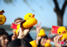 古老的颐和园变成了充满温情爱意的露天派对场所，众人皆爱小黄鸭。 中国网记者 齐锐/摄