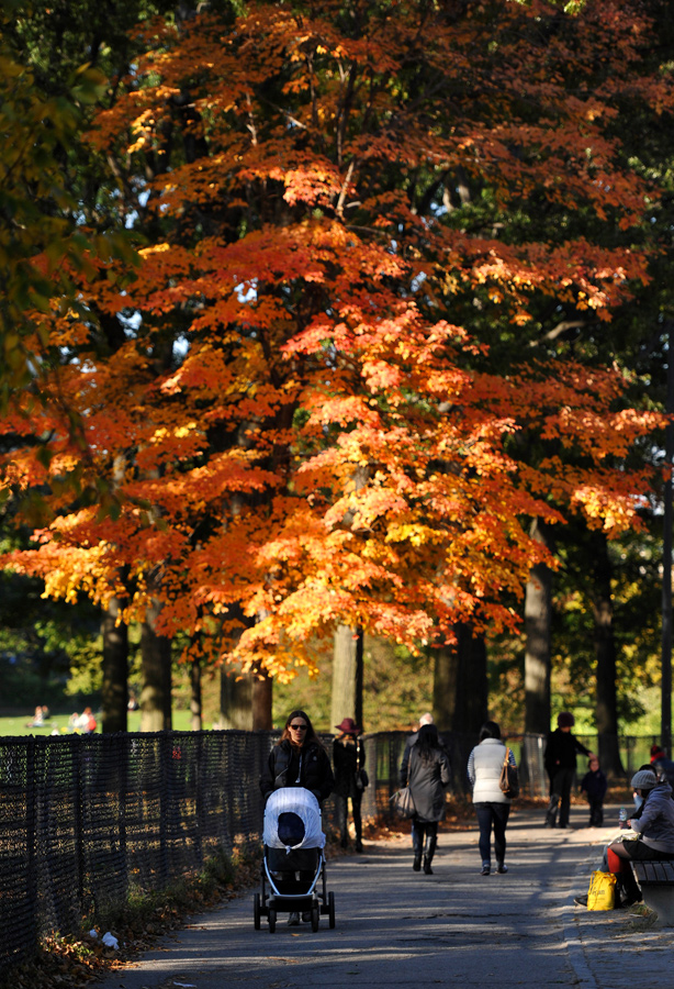 美国：纽约中央公园的绚丽秋景[组图]