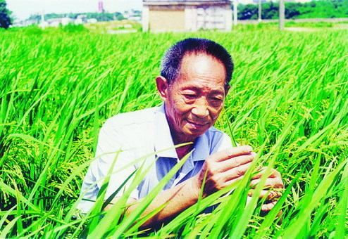 袁隆平透露超级稻最新目标 亩产1000公斤