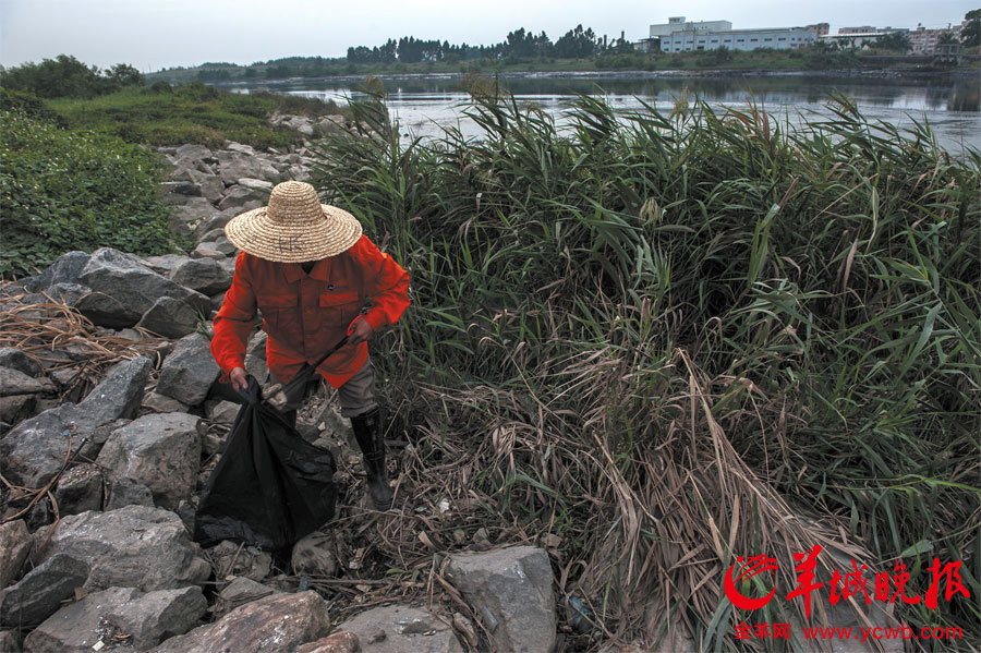 深圳茅洲河污染严重臭气扑面