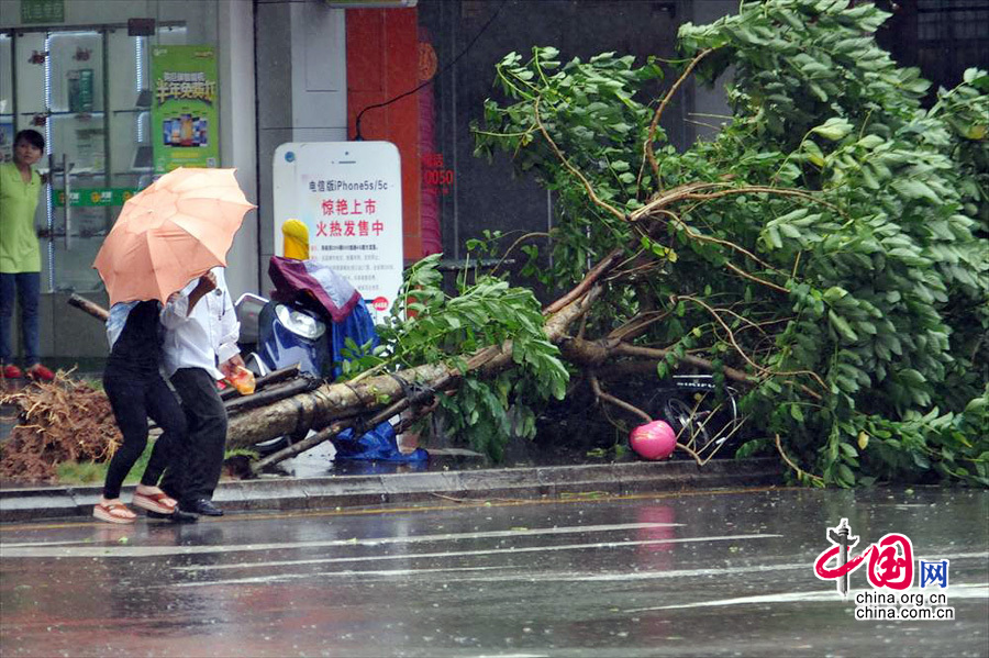 2013年11月10日，今年第30号强台风“海燕”中心附近最大风力14级。目前正从海南南部近海擦过，逐渐向越南逼近。受其影响，琼海市城区风狂雨骤，不少树木被刮断，有些地区供电电话中断。