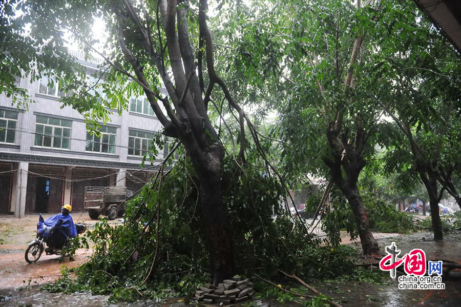 2013年11月10日，今年第30号强台风“海燕”中心附近最大风力14级。目前正从海南南部近海擦过，逐渐向越南逼近。受其影响，琼海市城区风狂雨骤，不少树木被刮断，有些地区供电电话中断。