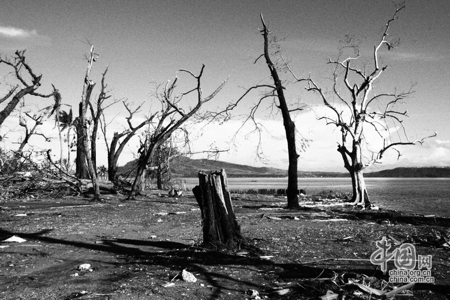 當地時間2013年11月13日，菲律賓颱風重災區塔克洛班市的災後情景。菲律賓全國約950萬人受災，60萬人流離失所，剩下的人處於缺水缺糧的狀態。
