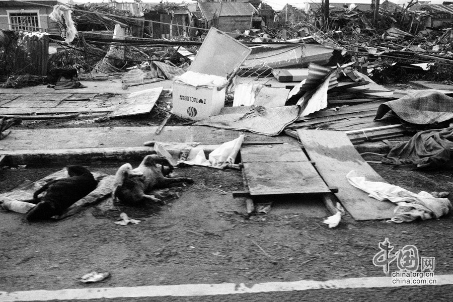 当地时间2013年11月13日，菲律宾台风重灾区塔克洛班市的灾后情景。菲律宾全国约950万人受灾，60万人流离失所，剩下的人处于缺水缺粮的状态。