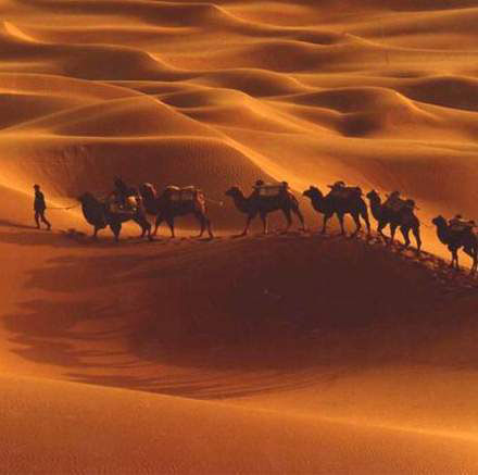 丝绸之路概念股异军突起 上市公司迎政策利好