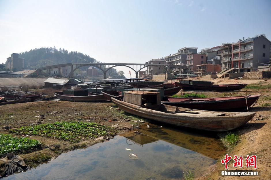 走進鄱陽湖腹地：漁船擱淺湖床“大草原”[組圖]