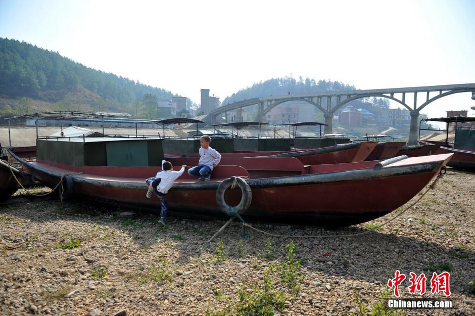 走進鄱陽湖腹地：漁船擱淺湖床“大草原”[組圖]