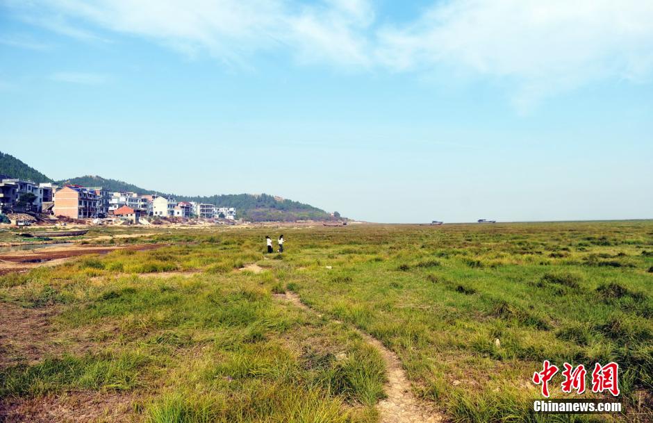 走進鄱陽湖腹地：漁船擱淺湖床“大草原”[組圖]