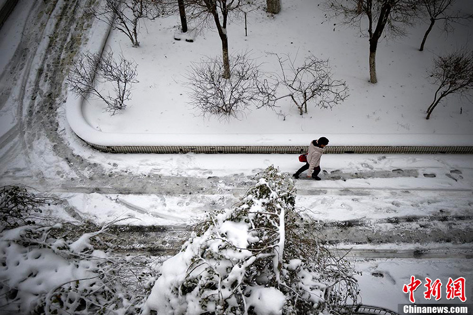 乌鲁木齐连续12小时降雪13.4毫米 已达暴雪级别 