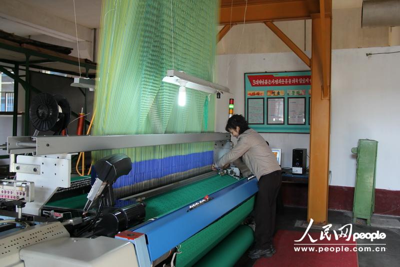 探訪平壤地毯廠 實拍朝鮮織毯姑娘工作