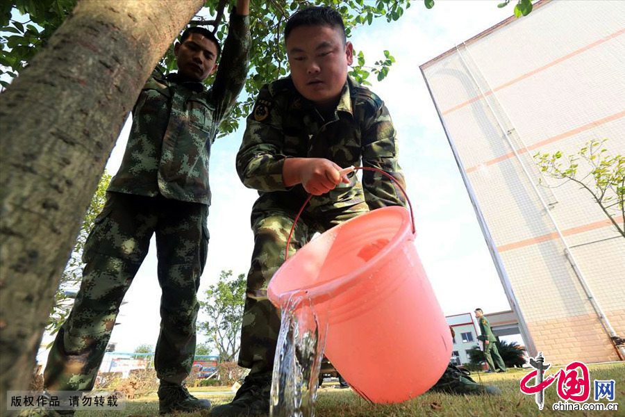 11月24日，尹邦荣在中队营区为新种的桂花树最后一次浇水。中国网图片库 谭克兴/摄