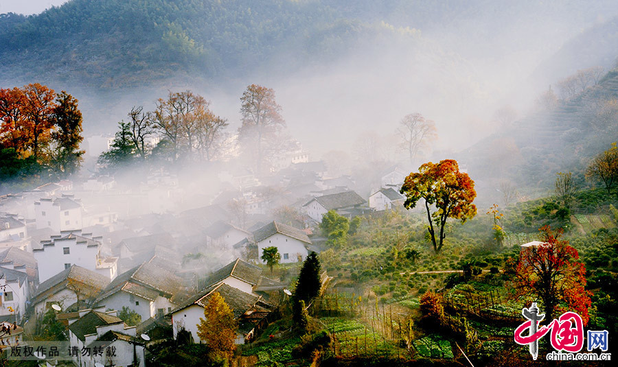 五彩缤纷的树叶与萦绕飘逸的晨雾相应成景，宛如人间仙景，美不胜收。 中国网图片库 卓忠伟/摄 