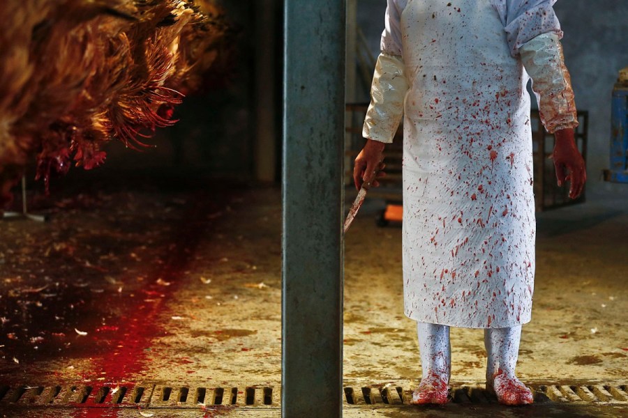 2013年4月12日,上海,屠宰场的一名员工持刀站在处理鸡的生产线上
