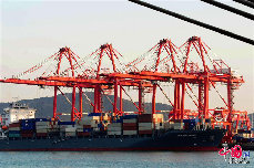 2013年12月10日，山东青岛前湾保税港区外贸集装箱码头堆放的集装箱。 （中国网图片库 俞方平摄影）