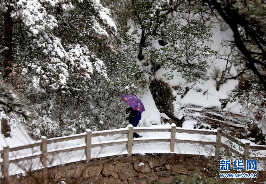 全国多地迎来今冬首场降雪 实拍西湖雪花纷飞美景