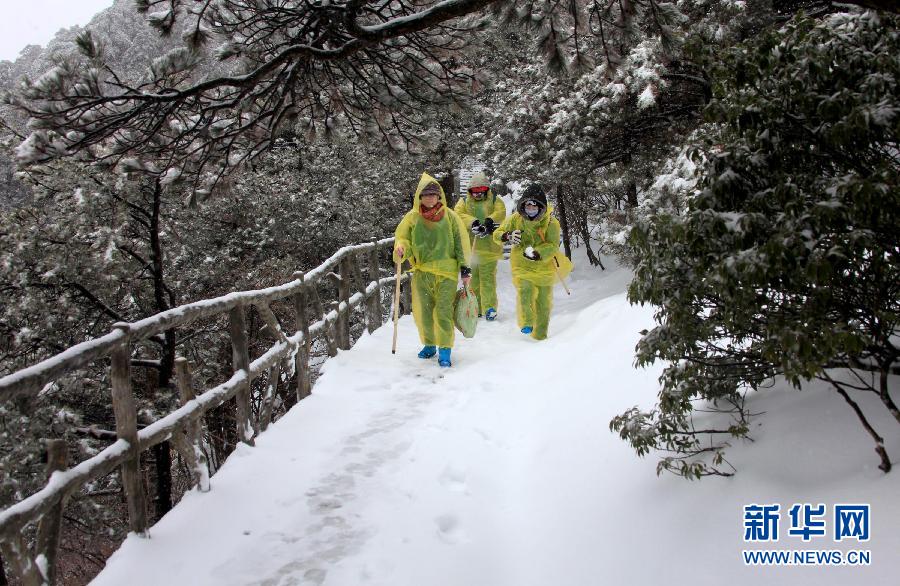 全国多地迎来今冬首场降雪 实拍西湖雪花纷飞美景