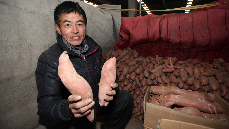 每隔一天，孫維革要去農貿市場進一次貨，挑出適合的紅薯。中國網圖片庫 澎湃