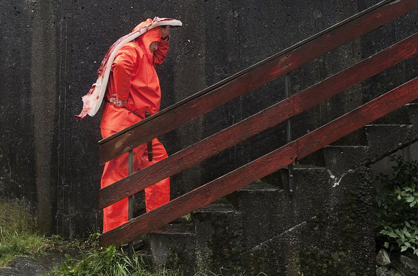 丹麦小岛迎传统屠鲸节 血染大海