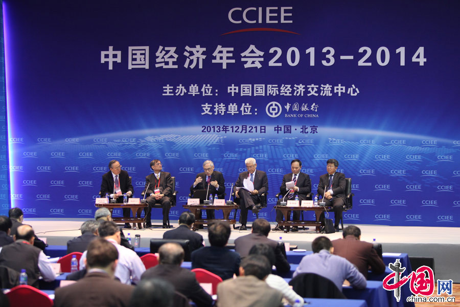 中国经济年会（2013-2014）主题论坛。