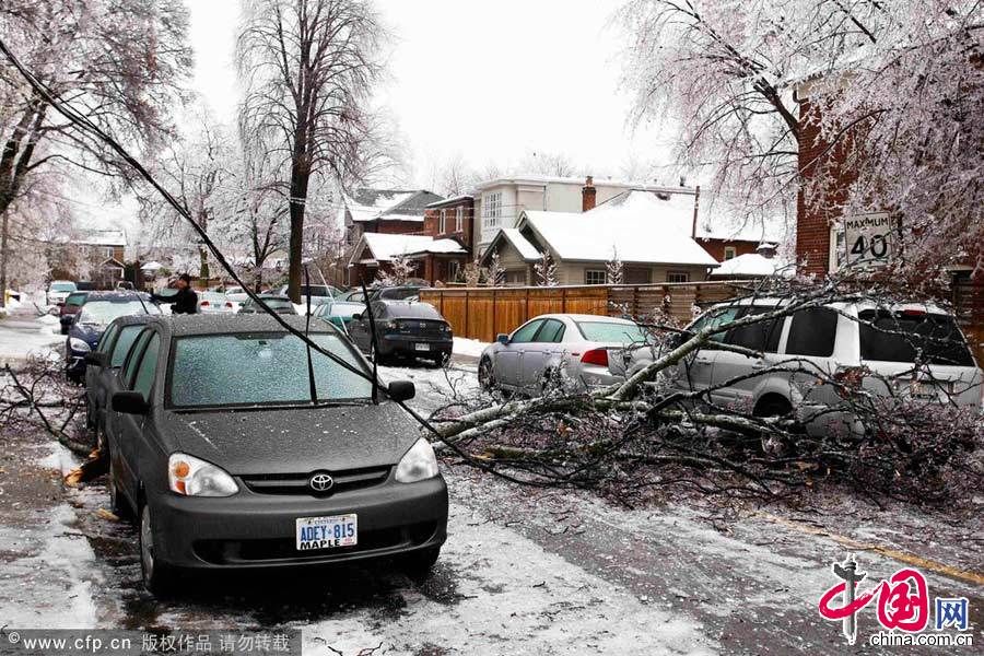 当地时间2013年12月22日，加拿大多伦多，多伦多遭冰暴侵袭。