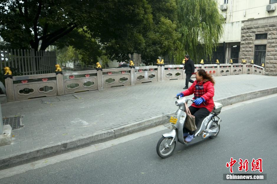 苏州现“土豪金”石狮子，吸引过往民众围观。图为12月26日，苏州三香路虎啸桥上，市民被“土豪金”石狮子吸引。