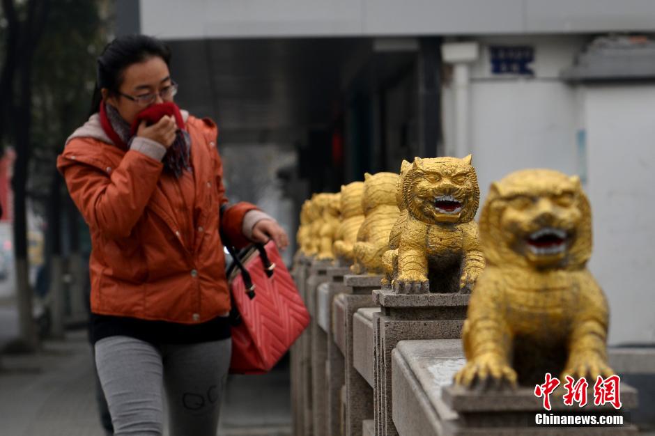 苏州现“土豪金”石狮子，吸引过往民众围观。图为12月26日，苏州三香路虎啸桥上，市民被“土豪金”石狮子吸引。