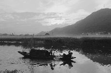 老唐夫妇在自己承包的这片湿地进行表演，按游客和摄影人要求开始撒网、捕鱼及渔家生活情景。 中国网图片库 郑跃芳 摄